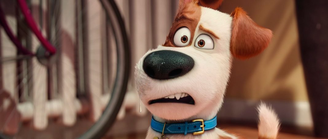 Crítica de 'Mascotas', el 'Toy Story' para los amantes de los animales • En tu pantalla
