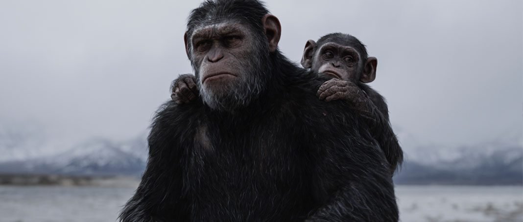 Crítica de 'La guerra del planeta de los simios', una conclusión a la altura • En tu pantalla